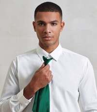 'Colours' Satin Clip Tie Premier PR755